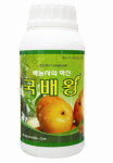 RKS범송엔터테인먼트 | 새상품-㈜국송 ‘국배왕’