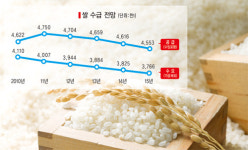 쌀시장 내년 ‘조기 관세화’…논에 벼 재배 안해도 직불금