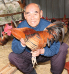 이사람/재래닭 복원에 한평생 바친 장상철옹