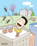 농업회사법인 홍시마을(주) | [홍사종의 상상칼럼] 귀농본능 일깨우는 ‘도심 양봉’