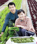 새농민 2011 본상 우수 영농사례 (10)정천흥·신춘선 부부 <충북 청원 형제농장>