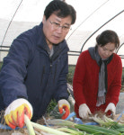 삼랑진농협, 농가 일손지원 호평