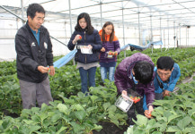 제주서 딸기 수확체험…농촌관광 ‘한몫’