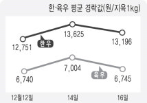 축산물 출하정보 <소>들뜬 연말맞아 오름세