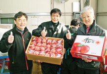 남상주농협, 공동선별·공동계산제 정착시켜 곶감·사과 명품화 기여