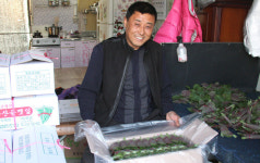 깻잎이 농가소득 향상 효자됐어요