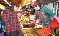 [포구 탐방] 소래포구… 싱싱한 봄 건지세요