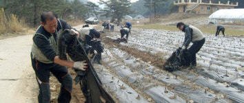 강원농협·축협 연합봉사단, 봉사활동 ‘출발’