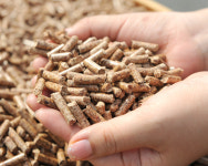 ‘목재 펠릿 보일러’ 어떡하나…