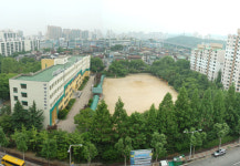 산림청, 올해 145개 학교에 숲 조성