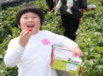 “전북 농산물에 반했어요”