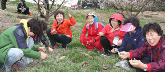 [현장]진주 문산농협 고향주부·부녀회 가뫼골마을서 ‘식사랑 농사랑’ 체험