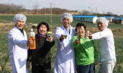 [매일매일 양파를] 양파 가공식품 개발 선구자 무안 현대영농조합법인