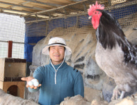 [화제]관상용 닭 키우는 안문준씨<충남 공주>