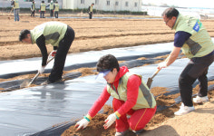 파주 농촌사랑봉사단 “일손돕기·환경정화 운동 앞장”