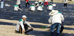[화제]노숙인 영농교육 프로그램 ‘서울영농학교’