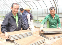 광적농협, 경험 풍부한 영농회장들이 육묘 도와… 올해 2만7,000장 생산…시중업체 절반값 판매