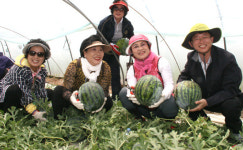 부산지역 여성단체회원, ‘식사랑 농사랑’ 현장체험