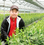 생산비 절감 현장을 가다 (4)백합 양구(알뿌리 키우기) 실천하는 정도화씨 <전북 무주>