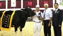 포천 묵방목장 젖소 ‘그랜드 챔피언’ 영예