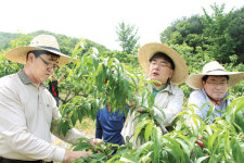 복지부·보은 북실마을1사1촌 자매결연 현장
