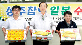 대가농협·조합공동사업법인, 성주참외 일본인 입맛 사로잡아