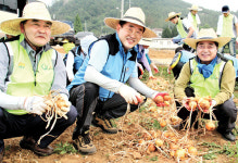 전남지방경찰청, 무안 월호마을서 일손돕기