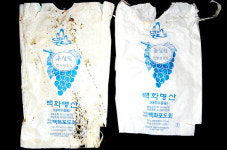 포도 상품성 향상 이중봉지 나와