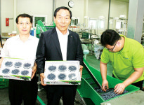 쌍림농협, 블루베리 공선출하 ‘성공예감’