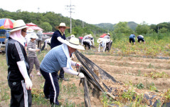 농협금융, 농촌 가뭄피해 복구 지원