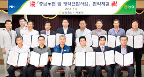 충남 밤 ‘아라유 농사랑’ 공동상표로 판매