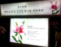 [사진]“경조화환, 조화 대신 생화로 진심의 향기를…”