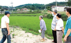 “마을 뒷산 수목장터 조성 안돼”