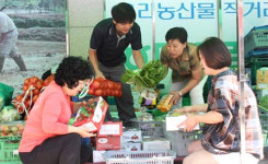 장흥농협 목요장터 성황