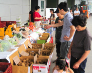 현장/당진 경매가격으로 산지직거래