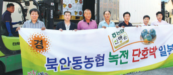 북안동농협, 녹전 단호박 19t 일본행