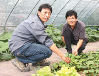 [이사람]산채 체험농장 운영 박상일·변석두씨