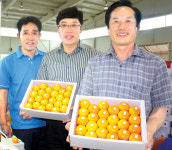 [판매농협 구현 우리가 이끈다]제주 표선농협