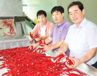 임실·진안고추의 ‘행복한 만남’