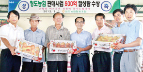 [판매농협 구현 우리가 이끈다]경북 청도농협, 산지공판장 거래 공정성 ‘무한신뢰’