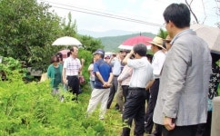 상북농협, 고품질 고사리 재배 기술 교육