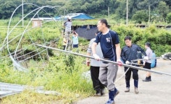 충남농협, 하우스 철거 도와