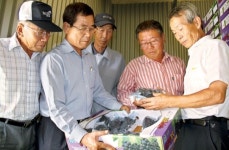 방축리농산물작목반 | [현장]충북 옥천 청산포도작목반-품질로 승부하는 ‘옥천포도’…“세계가 시장”