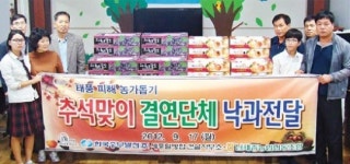 세종시열병합건설사무소, 자매결연마을 태풍 낙과 구입