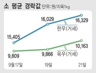 축산물 출하정보<소>불황에도 추석강세 재현