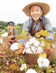 보송보송한 목화솜으로 겨울 준비를