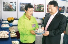 신경주농협·농가, 경주버섯축제 열어 “버섯효능 제대로 알았어요”
