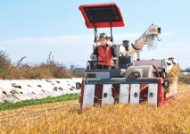 농협은행 고양지부·송포농협 수확 행사 “친환경 쌀 많이 사랑해주세요”