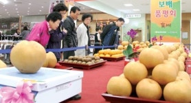 “울산배·서생배 일단 맛보시면…”