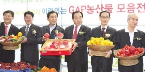 ‘농장에서 식탁까지…안전 GAP농산물 모음전’ 개최